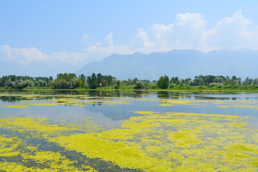 Srīnagar Kings Houseboats酒店 外观 照片