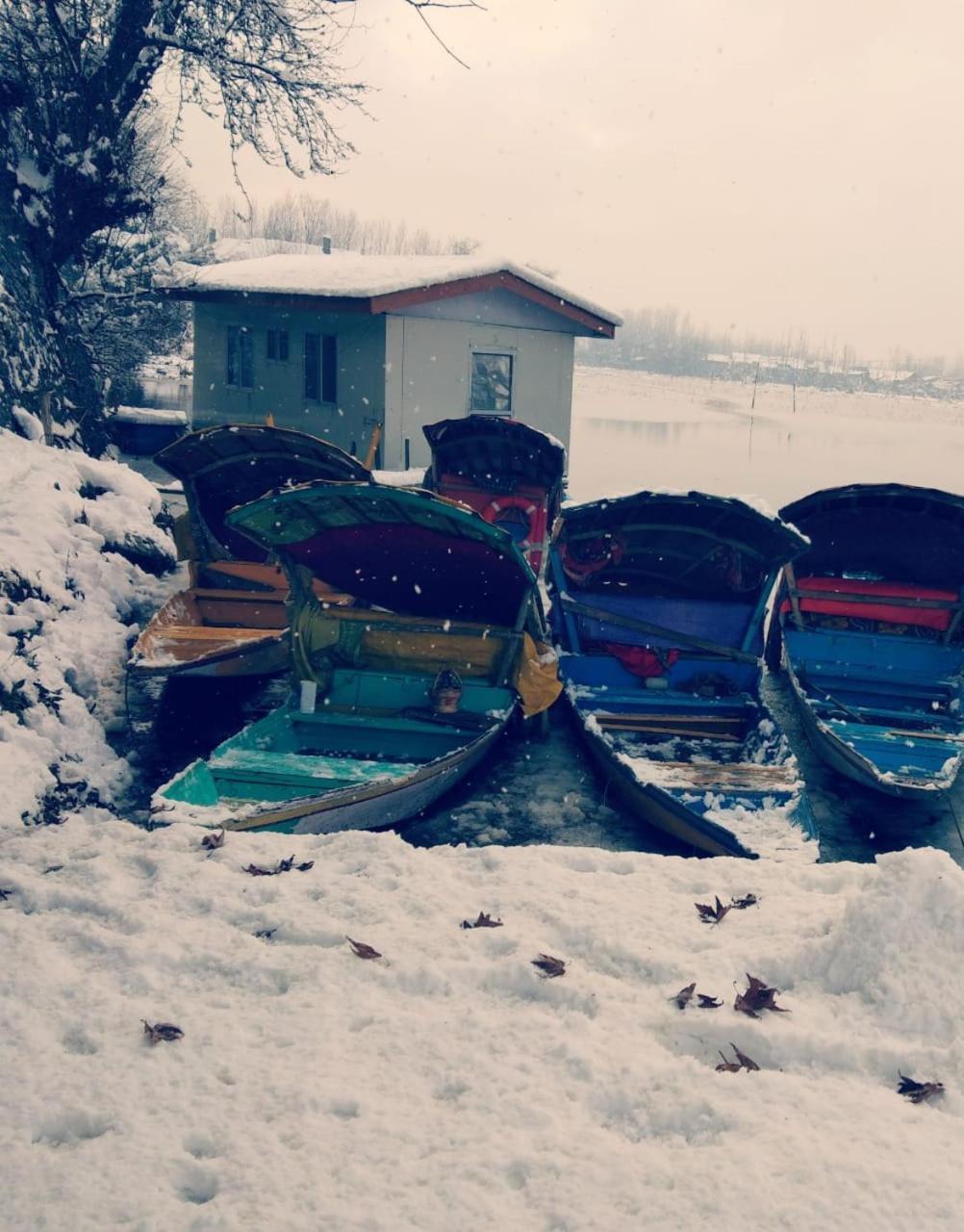 Srīnagar Kings Houseboats酒店 外观 照片
